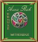 Assess Risk Bronze Award